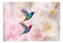Fototapeta - Kolorowe kolibry, Róż