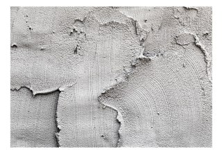 Fototapeta samoprzylepna - Beton, Tynk, Loft