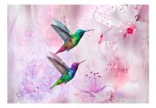 Fototapeta samoprzylepna - Fioletowe Kolibry