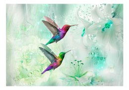 Fototapeta samoprzylepna - Kolorowe kolibry (zielony)