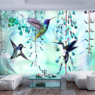 Fototapeta samoprzylepna - Kolibry, Turkus
