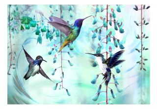 Fototapeta samoprzylepna - Kolibry, Turkus
