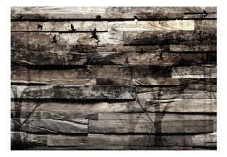 Fototapeta samoprzylepna - Drewno, Natura