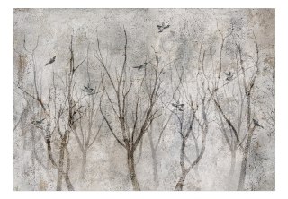 Fototapeta samoprzylepna - Śpiew w lesie