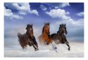 Fototapeta - Konie w śniegu