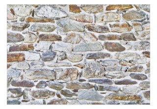 Fototapeta samoprzylepna - Zamkowy Mur
