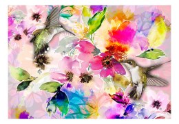 Fototapeta samoprzylepna - Kolorowe Kolibry