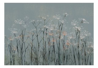 Fototapeta samoprzylepna - Kwiaty Vintage
