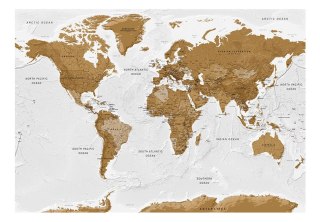 Fototapeta samoprzylepna - Jasna Mapa Świata