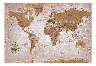 Fototapeta samoprzylepna - Brązowa Mapa