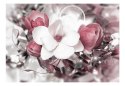 Fototapeta - Jasna Magnolia 3D, kwiat
