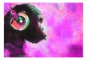 Fototapeta - Różowa małpa, muzyczna