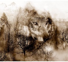Fototapeta - Wilk w górach, Brązowy