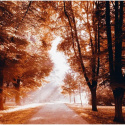 Fototapeta - Jesienny park, Sepia