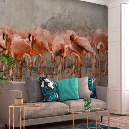 Fototapeta - Malowane Flamingi, Szara