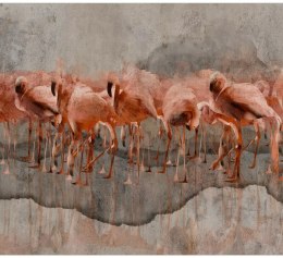 Fototapeta - Malowane Flamingi, Szara