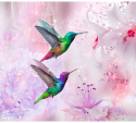 Fototapeta - Kolorowe kolibry, Fiolet