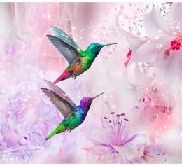 Fototapeta - Kolorowe kolibry, Fiolet