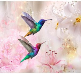 Fototapeta - Kolorowe kolibry, Róż