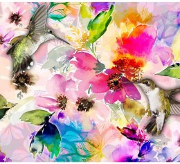 Fototapeta - Kolorowe Kolibry