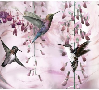 Fototapeta - Ptaki, Kolibry, Różowa