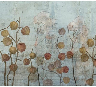 Fototapeta - Malowana Lunaria Vintage