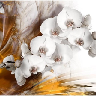 Fototapeta - Orchidea, Żółta, Modern
