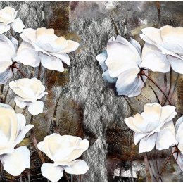 Fototapeta - Białe róże, Skała