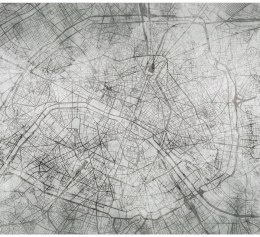 Fototapeta - Mapa Paryża, Loft, Beton