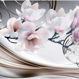 Fototapeta - Magnolia, Kwiat, Glamour
