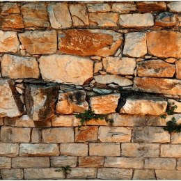 Fototapeta - Piaskowy Kamienny Mur