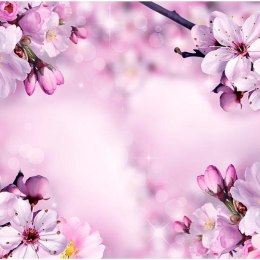 Fototapeta - Różowe Kwiaty Wiśni