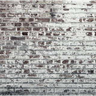 Fototapeta - Szary Ceglany Mur Loft
