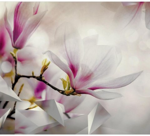 Fototapeta - Różowe magnolie, Modern