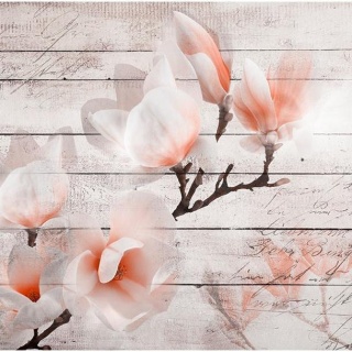 Fototapeta - Magnolia, Drewno Vintage