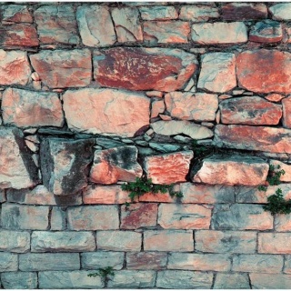 Fototapeta - Naturalny Kamienny Mur
