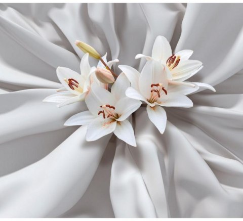 Fototapeta - Delikatne Białe Lilie 3D