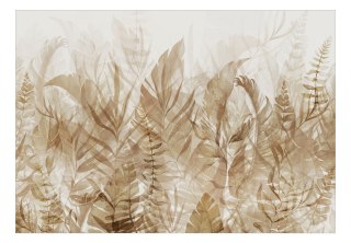 Fototapeta samoprzylepna - Beżowe Paprocie
