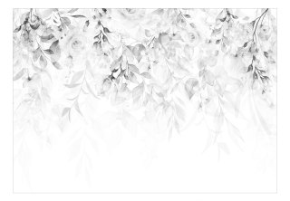 Fototapeta samoprzylepna - Szare Rośliny