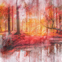 Fototapeta - Jesienny las, Czerwona