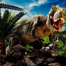 Fototapeta - Dinozaury - Tyranozaur